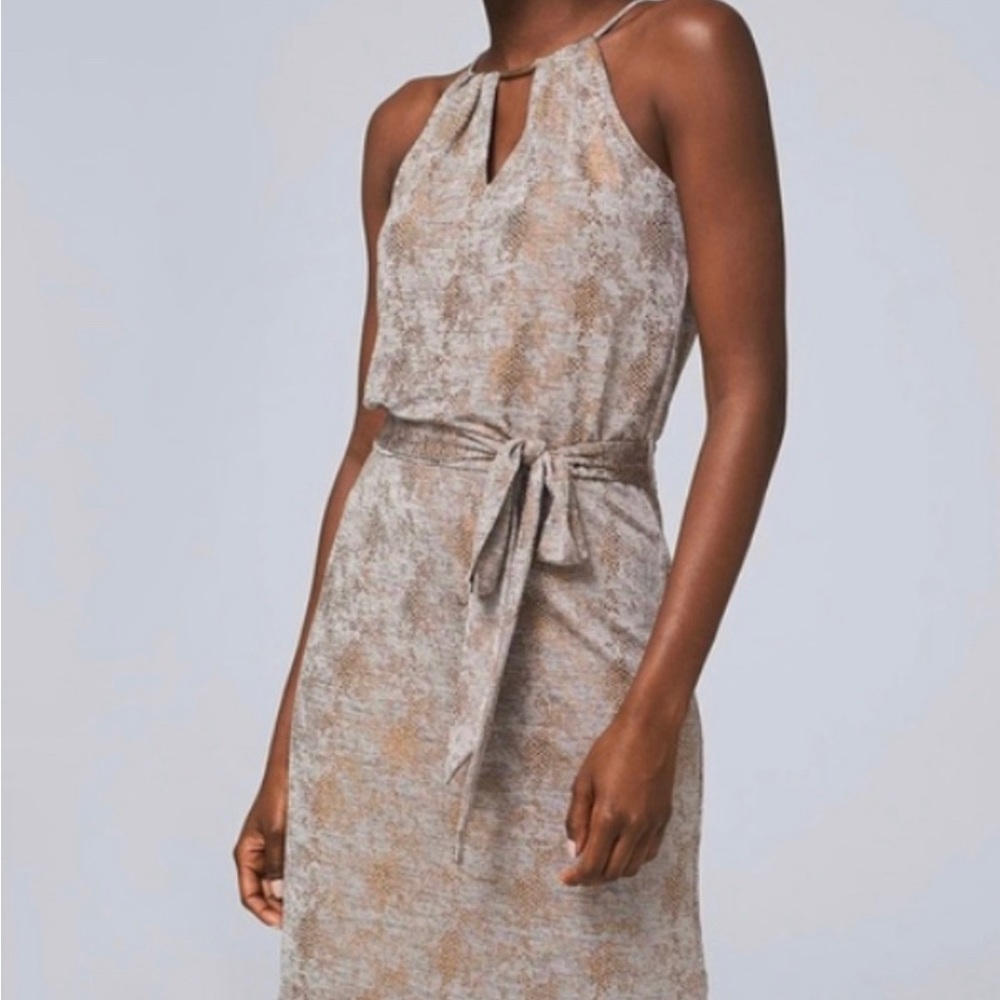 NWT**White House Black Bronze Snake Print Dress